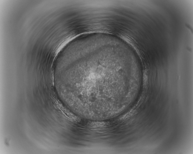 X0000100350925200806201538