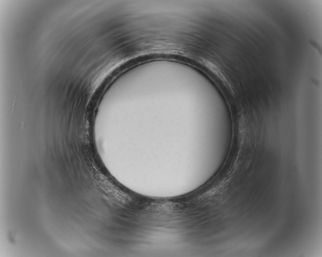 X0000100350926200806201538