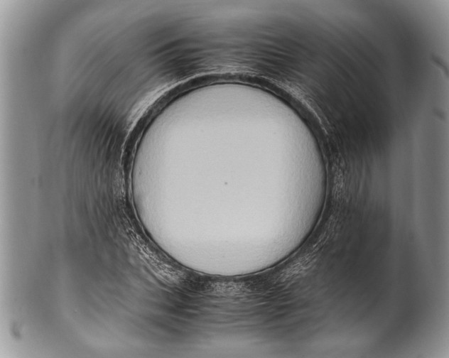 X0000100350927200806201538