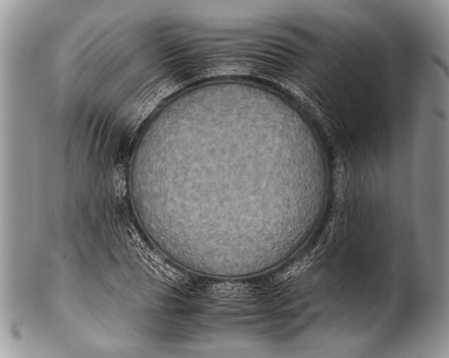 X0000100350929200806201538