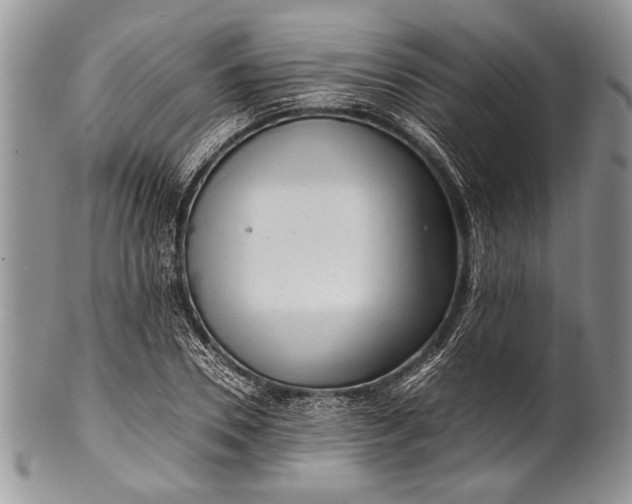 X0000100350930200806201538