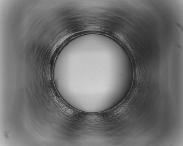 X0000100350931200806201538