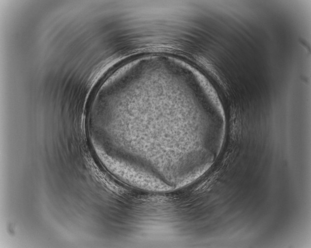 X0000100350932200806201538