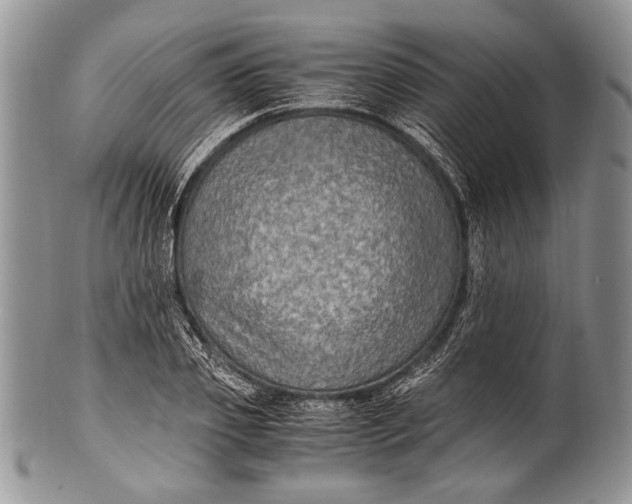 X0000100350933200806201538
