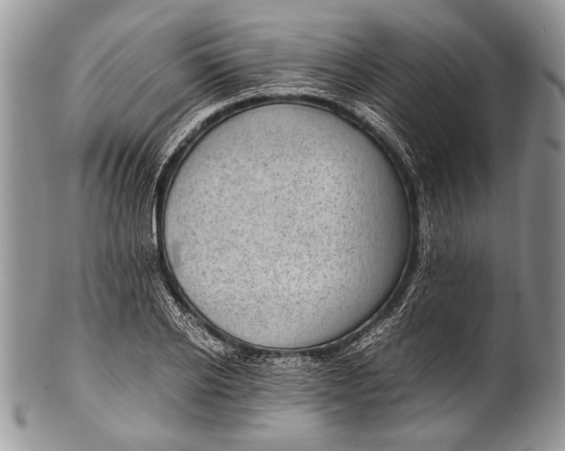 X0000100350934200806201538