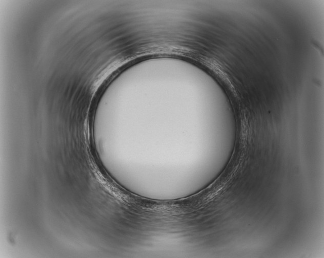 X0000100350936200806201538