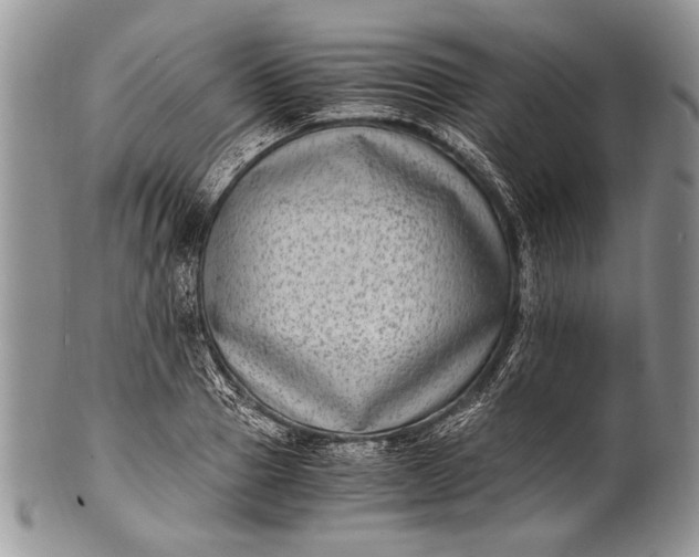 X0000100350937200806201538