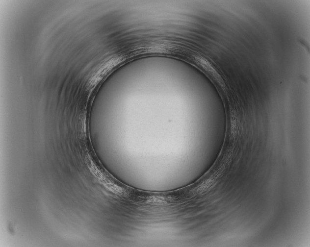 X0000100350938200806201538
