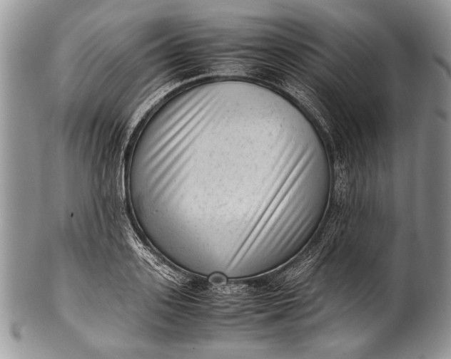 X0000100350939200806201538