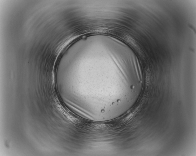 X0000100350940200806201538