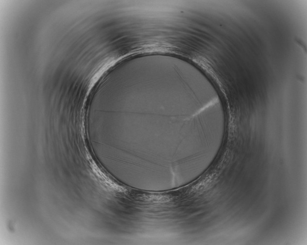 X0000100350941200806201538