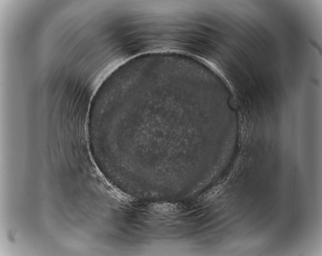 X0000100350943200806201538