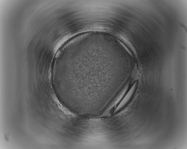 X0000100350944200806201538