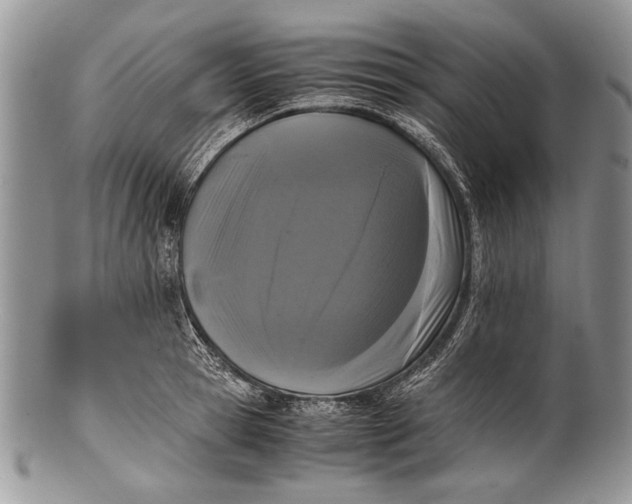 X0000100350945200806201538