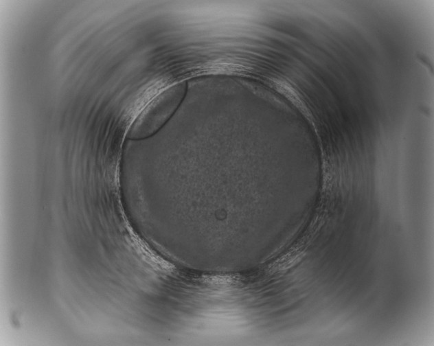 X0000100350946200806201538