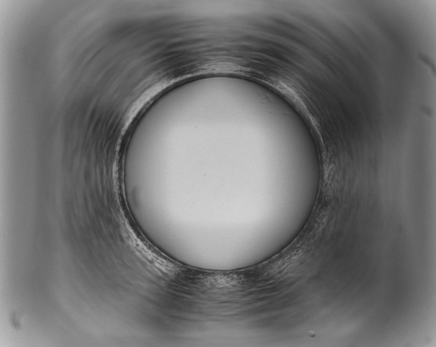X0000100350947200806201538