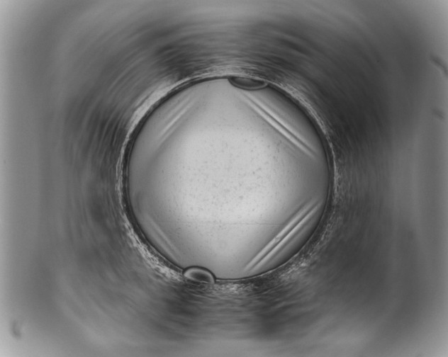 X0000100350949200806201538