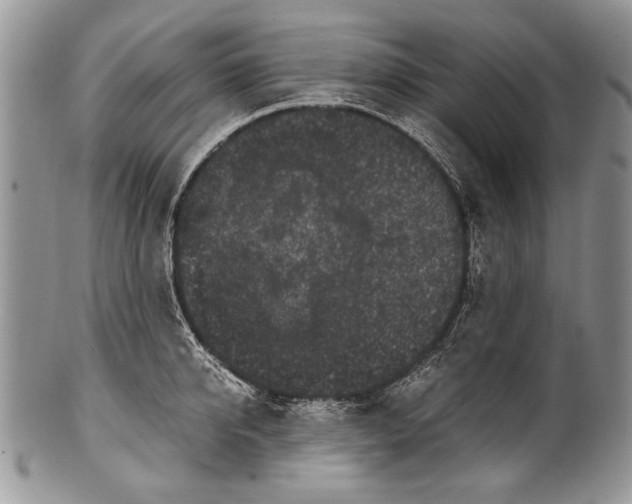 X0000100350950200806201538