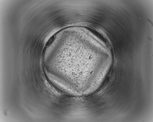 X0000100350952200806201538