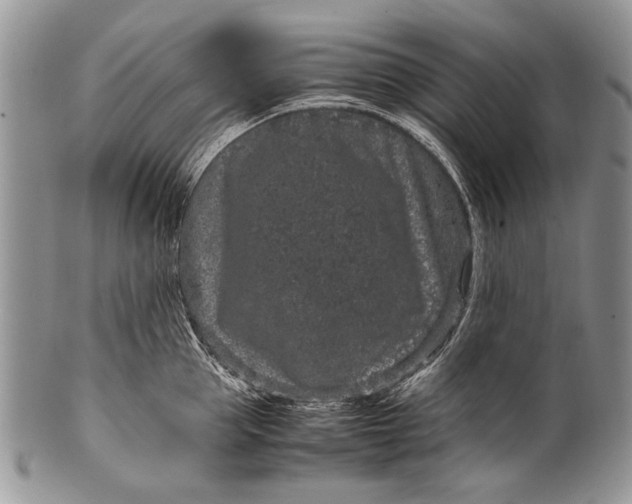 X0000100350953200806201538