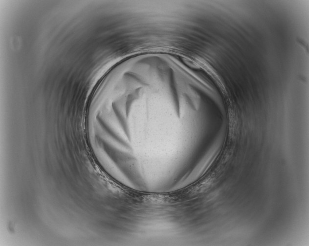 X0000100350956200806201538