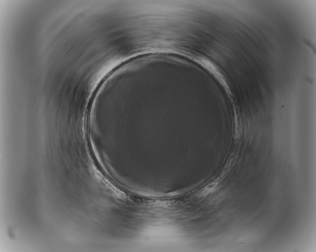 X0000100350958200806201538
