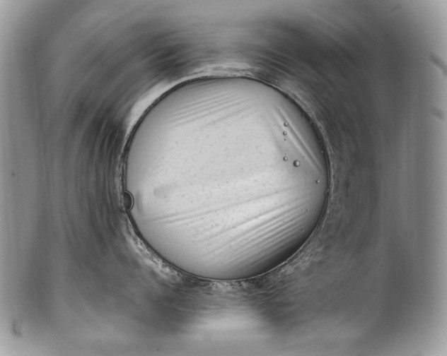 X0000100350960200806201538