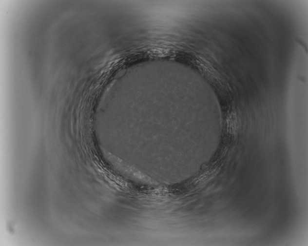 X0000100350961200806201537
