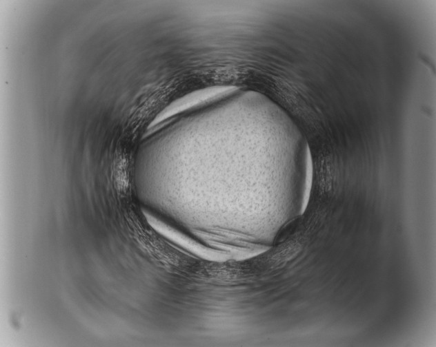 X0000100350962200806201537