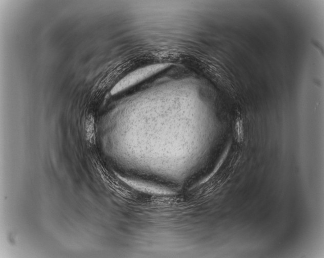X0000100350963200806201537