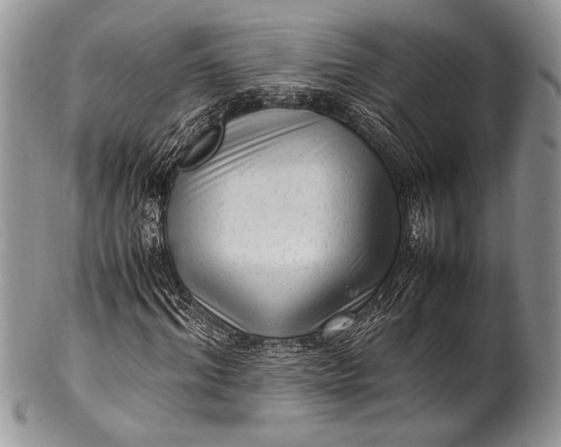 X0000100350964200806201537