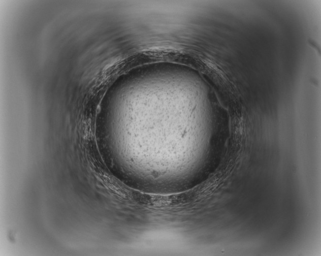 X0000100350965200806201537