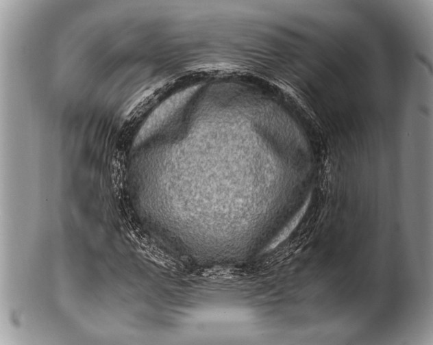 X0000100350967200806201537