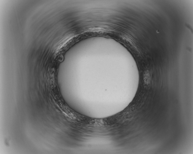 X0000100350968200806201537