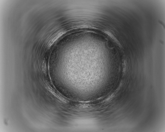 X0000100350969200806201537