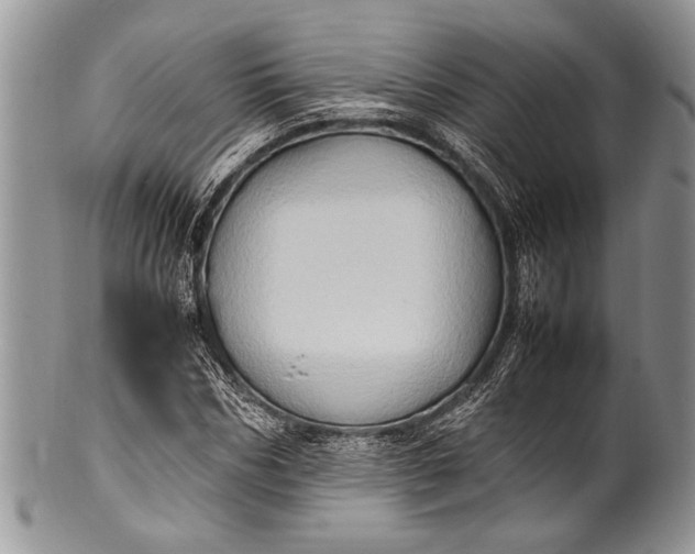 X0000100350970200806201537