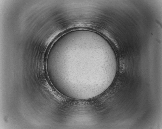 X0000100350972200806201537