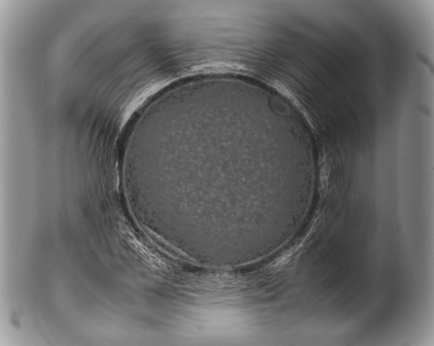 X0000100350973200806201537