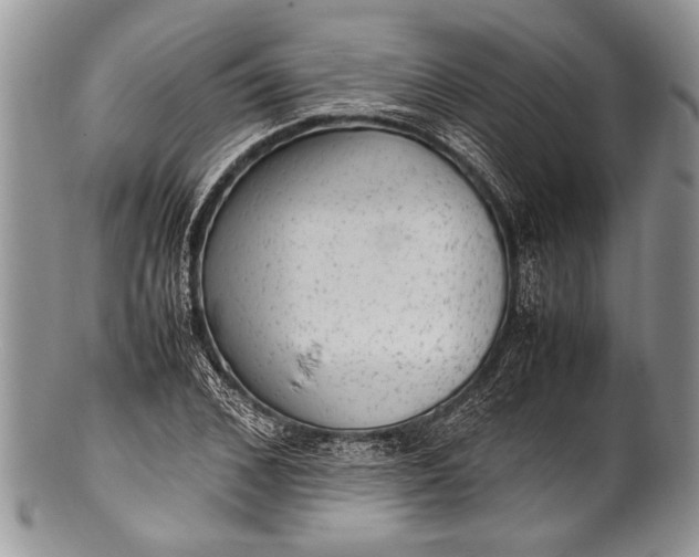 X0000100350976200806201537