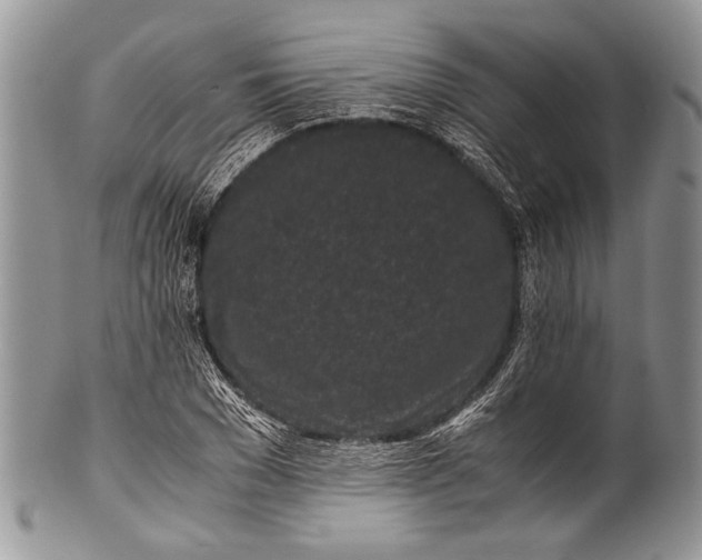 X0000100350977200806201537