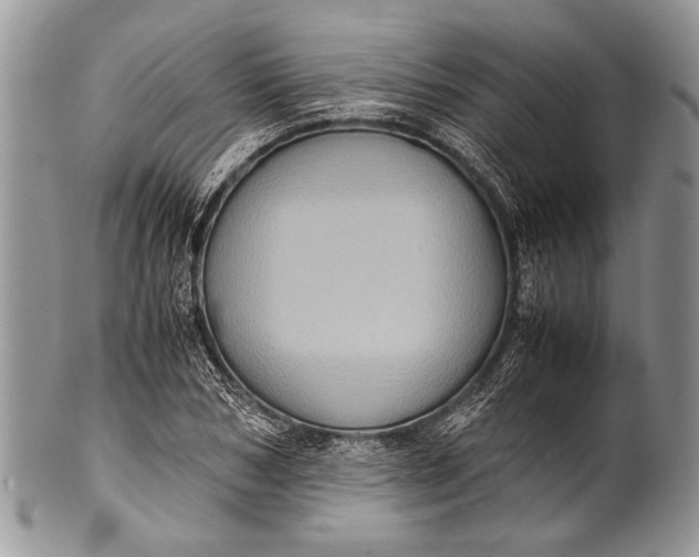 X0000100350978200806201537