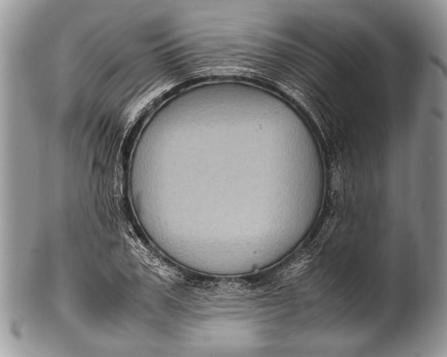 X0000100350979200806201537