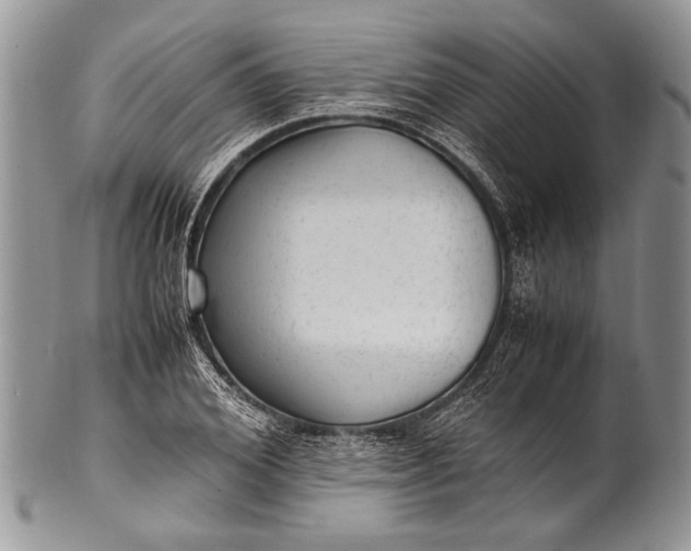 X0000100350980200806201537