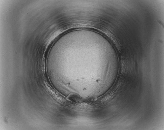 X0000100350982200806201537