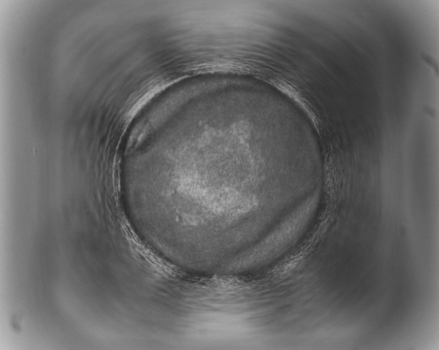 X0000100350983200806201537