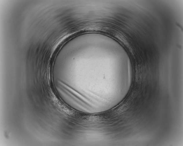 X0000100350984200806201537