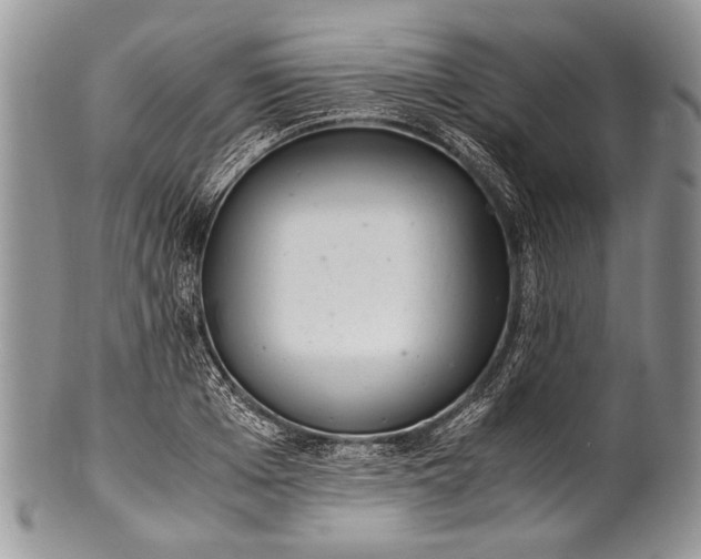 X0000100350985200806201537