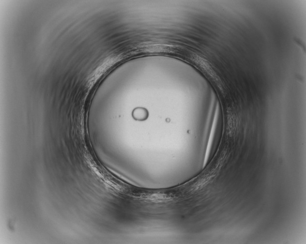 X0000100350986200806201537