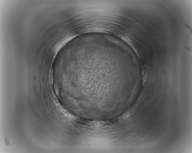 X0000100350987200806201537