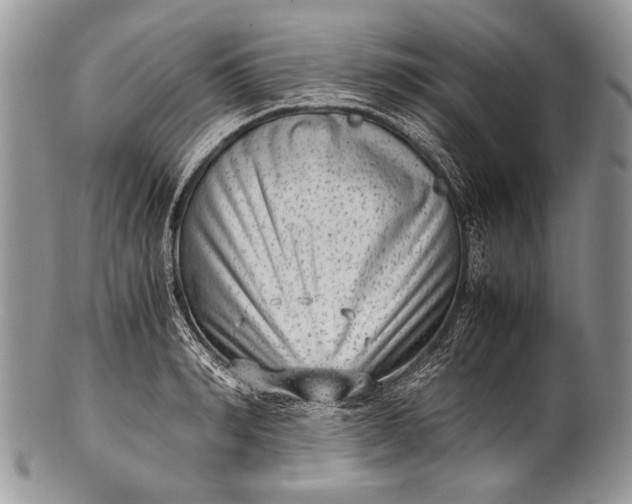 X0000100350990200806201537